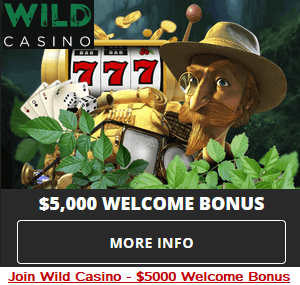Join Wild Casino welcome bonus