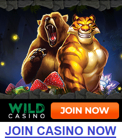 Join Wild online casino now
