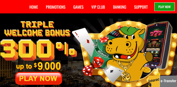 Lucky Hippo Interac casino welcome bonus
