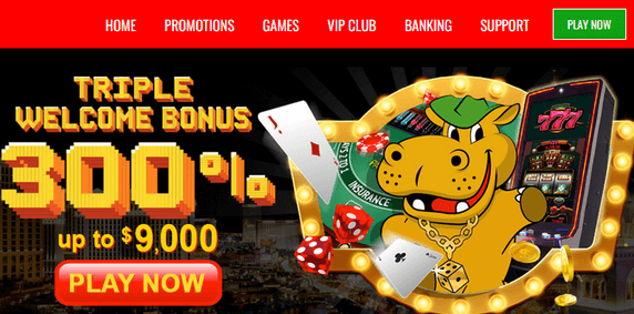 Triple welcome bonus special at Lucky Hippo Bitcoin casino
