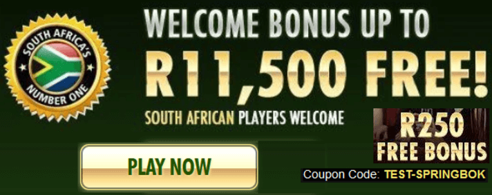 Springbok South African online casino coupon code