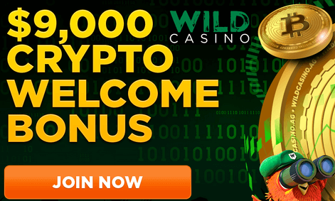 Wild online casino's $9000 crypto welcome bonus